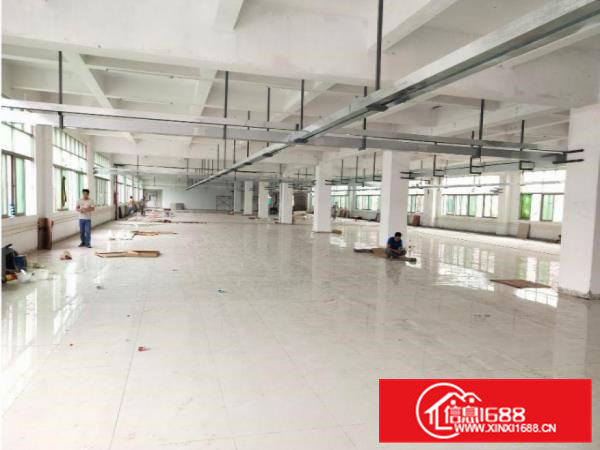 大岭山新出标准厂房1620平方，可办环评