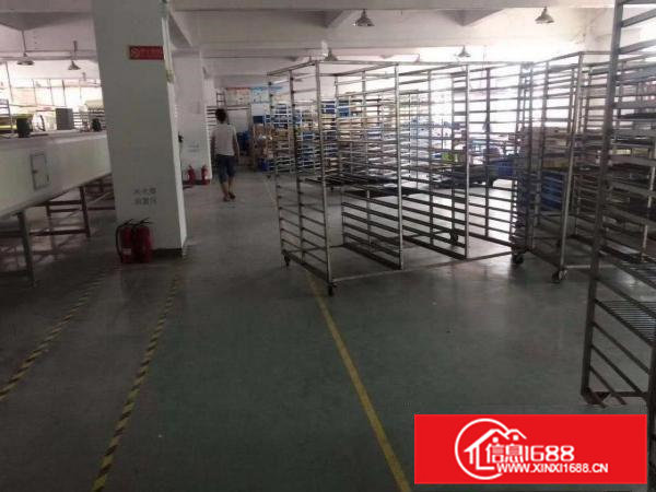 大朗新马莲新出标准厂房一二楼，每层800方，13元可分租