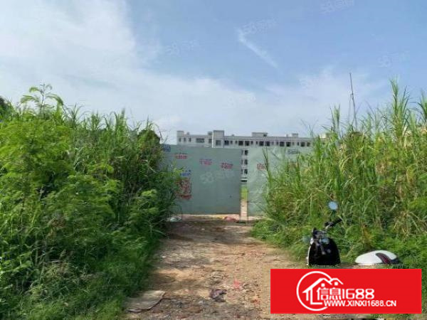 公明新出5300平空地