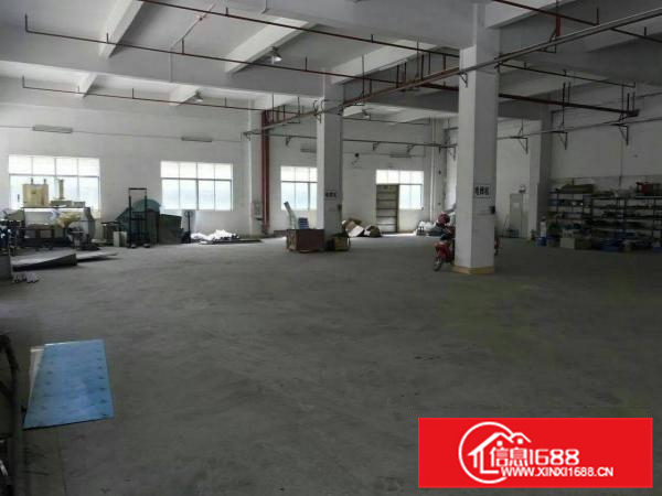 新圩约场新出原房东一楼整层面积1100平低价出租