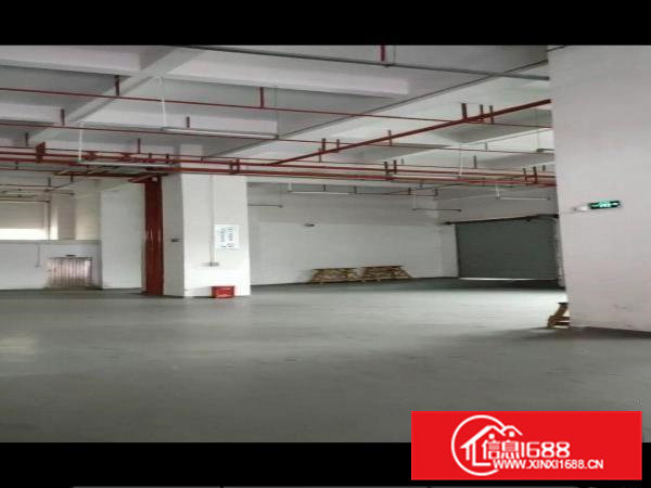 一楼厂房1620平，中介勿扰