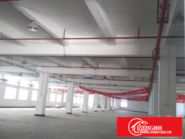 寮步上屯3300平一楼招租可分租园区空地超大交通便利