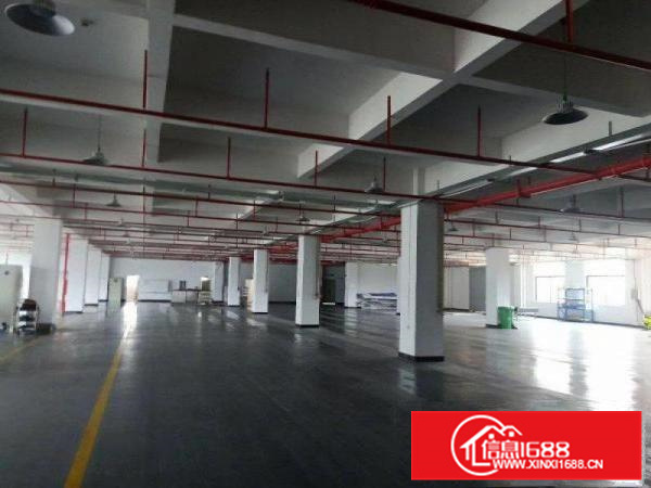 惠城区工业园厂房3000平分租全新地坪漆红本可办环评