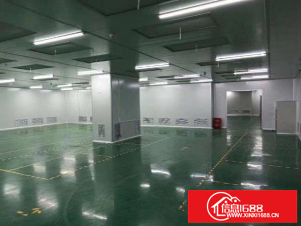 福永塘尾新出厂房1580平带豪华装修和无尘车间出租不要转让费