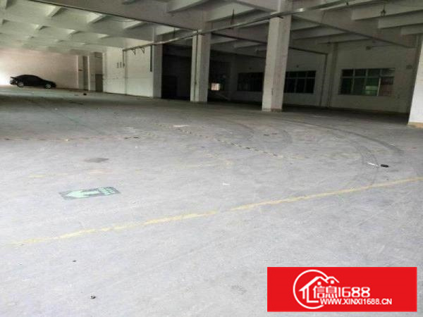 园洲镇标准独院厂房出租2100消防喷淋包办环评