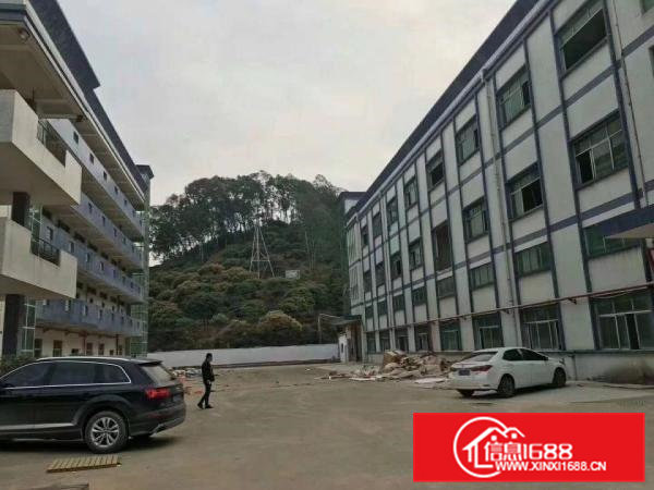 石排镇原房东3层标准独院厂房出租标准厂房独院出租