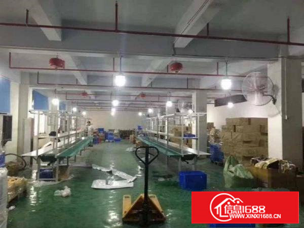 沙湖靓丽独院楼上600平方带装修，租金便宜