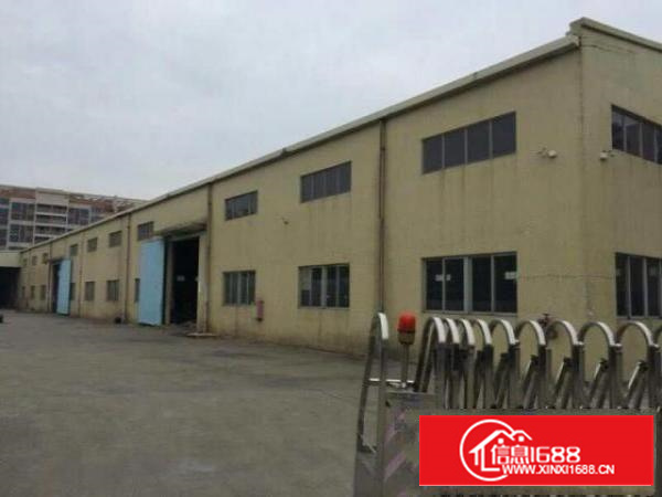 高埗独门独院单一层钢结构滴水8米5000平方厂房出租可办环评