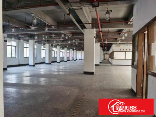 镇口新出楼上一整层950方带装修