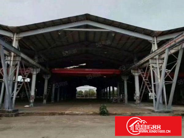 松岗107国道边原房东独院钢构9800平空地大12米高