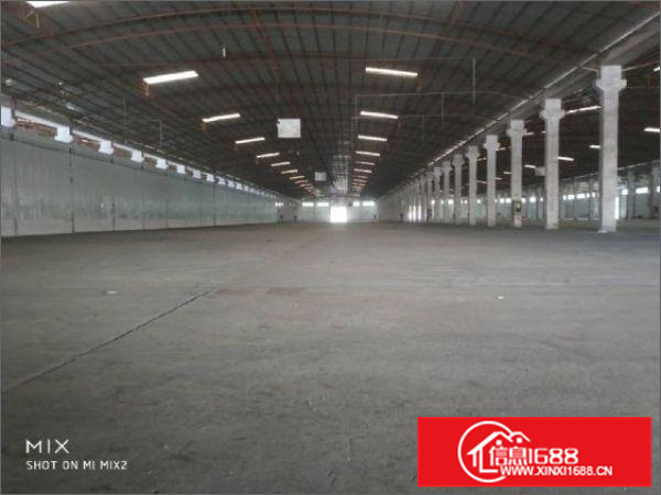 北滘槎涌工业区26000万方仓库，冷库出租可分租