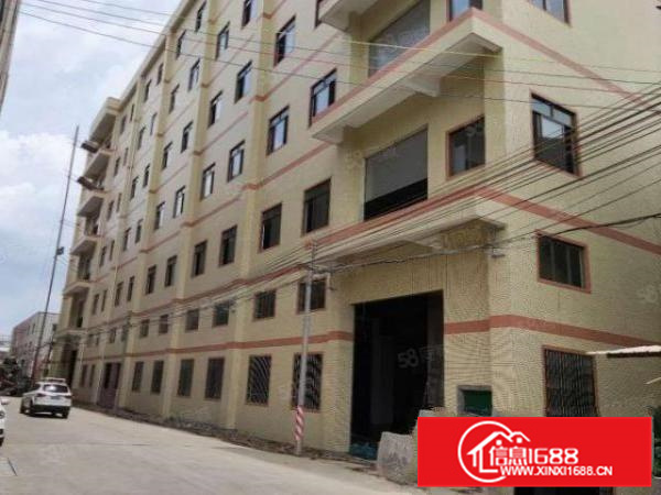 形象新！近广州中大北滘龙江勒流，10000方，有喷淋，可布匹