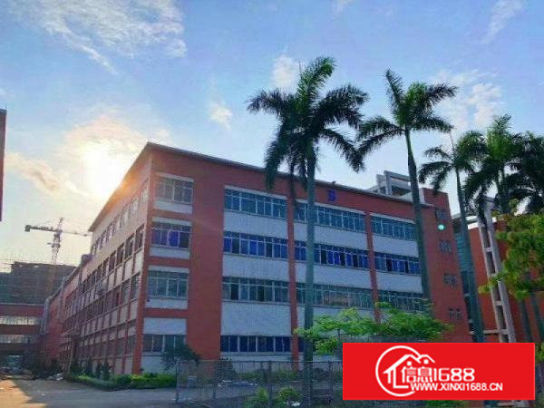 乌沙行业首选形象好2700平方全新厂房出租