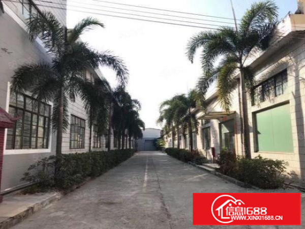 里水大石新出1200平方带装修办公室小独院厂房出租