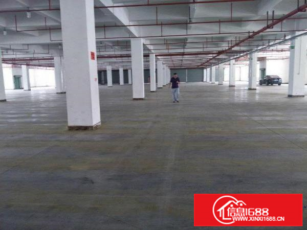 仲恺原房东红本60000平可分租形象好