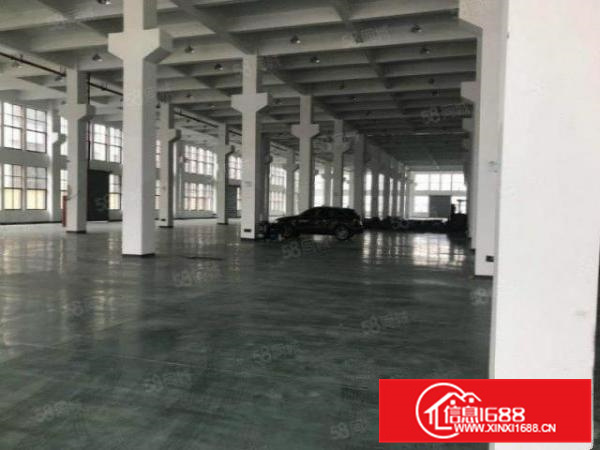 证件齐全，容桂3600方标准厂房，大路边，形象好