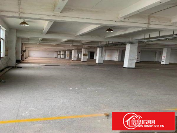 坪山汤坑厂房厂房318-2000