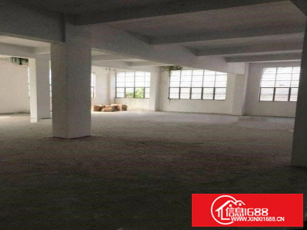 无公摊布吉丹竹头社区标准厂房300平方火热招租