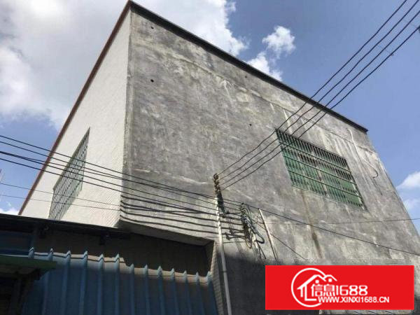 出租大岭山湖畔工业园独门独院700平厂房