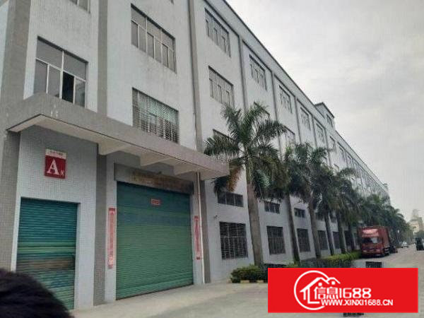 常平白石岗工业区新出一楼1000平厂房出租