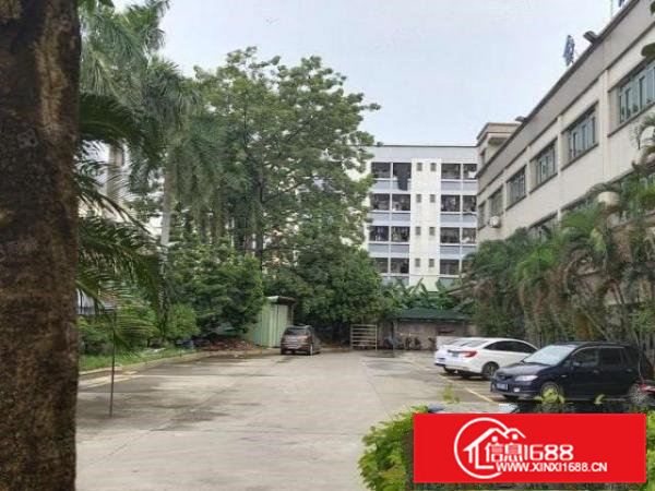 东坑新出楼上700平方。现成装修水电齐全