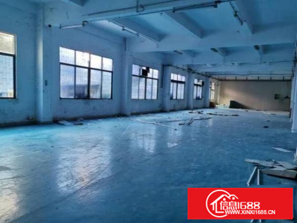 清溪荔横村标准一楼1600平米，带精装修办公室厂房出租