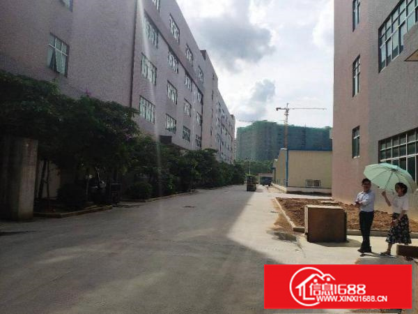 （红本）惠州三和经济开发区全新标准厂房不限行业出租