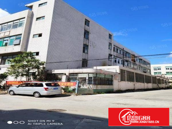 石岩星城月明街230平米小面积厂房出租带办公室