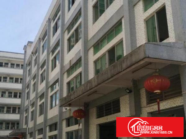 整栋红本独门独院厂房宿舍招租