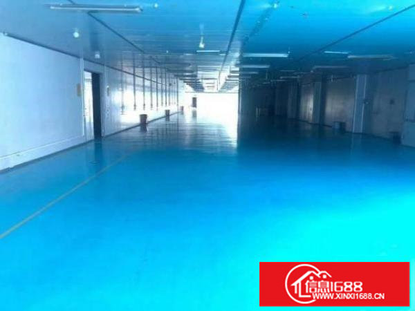 新出无尘车间6000平方低价招租