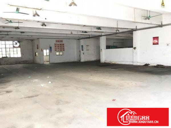 龙岗同乐新出500平厂房空地大形象好