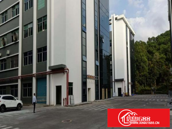 龙岗南联第五工业区楼上1860平可办租赁合同可分租