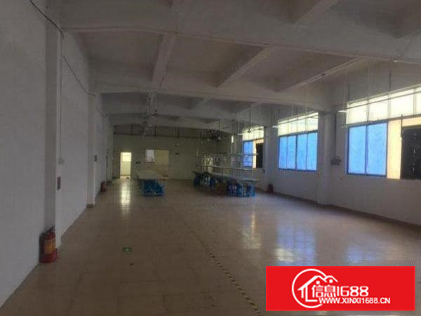 常平九江水820平精装厂房出租