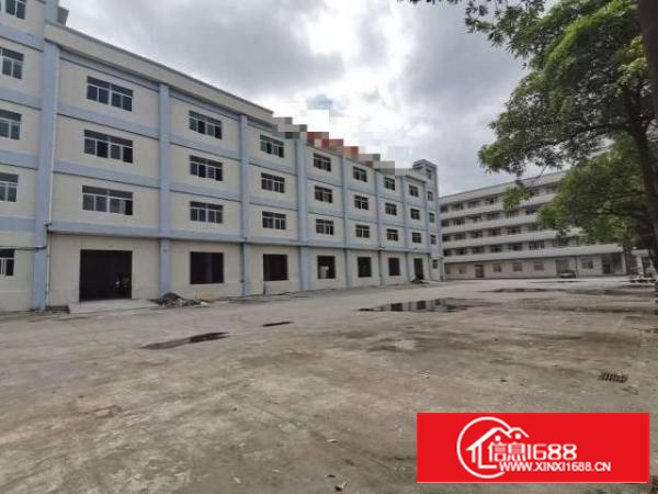 高埗原房东厂房出租，25000平，无公摊，空地超大