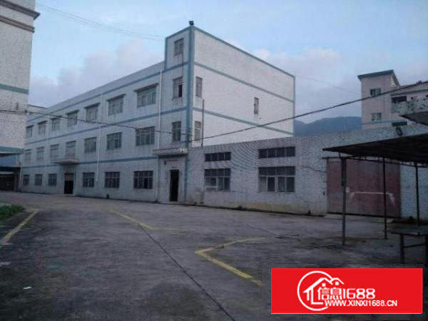 万江工业区标准厂房楼上1500平方出租、可分租适合仓库、贸易