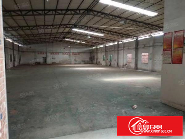 万江新出原房东独门独院单一层厂房招租