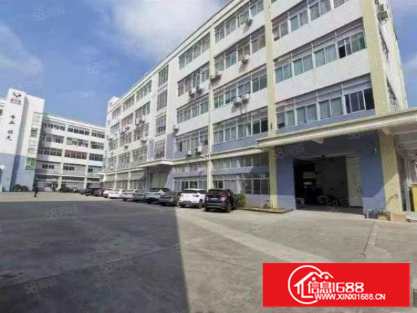 塘厦莲湖市场中心2楼550平吊顶装修厂房出租，方方正正