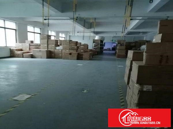 平湖镇新木村带办公室标准厂房2600平出租（可分租