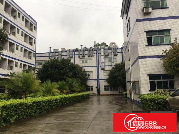 清溪一楼标准厂房1500平，16元出租