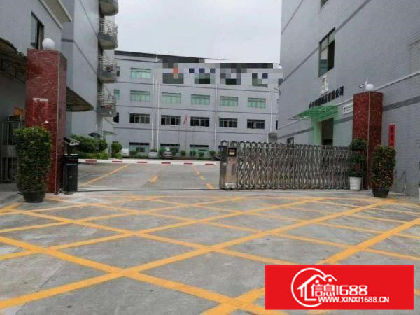 寮步西溪带豪华装修标准厂房600平方出租入驻可生产