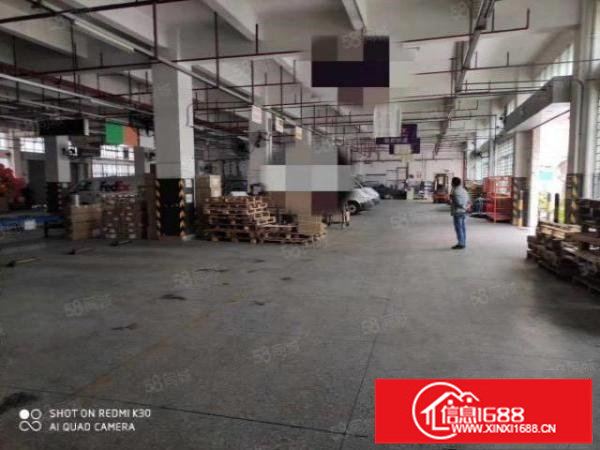 龙华龙大高速路龙华大道新出原房东厂房空地大，物流快递客户福音