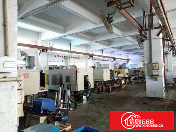 坪山大工业区新出标准一楼6米高3000平方出租红本厂房