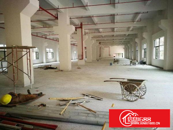 塘厦大坪一手房东厂房11250平方，2250平/层