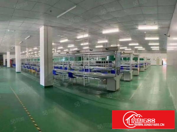 寮步竹园村独栋超大气标准厂房1800米带地坪漆豪华办公室