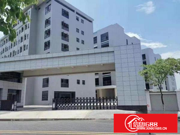 东坑红本厂房新地坪200,400,600,800,1000平