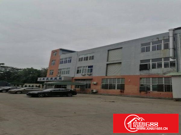 横岗安良300平方低价房出租