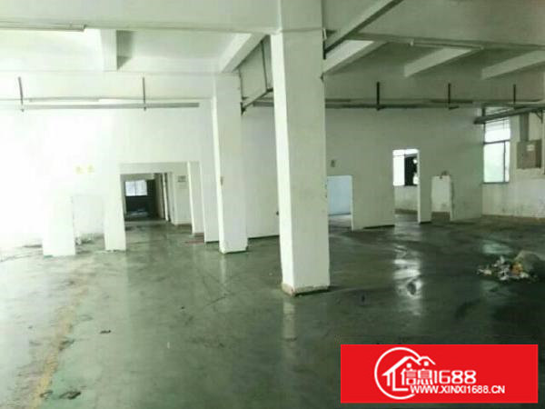 坪山坑梓金沙社区新出独院5800平带办公室装修出租