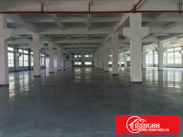 重工业福音！沙湖2500平方米工业园一楼标准厂房！临大坪高速