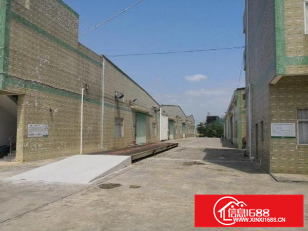 惠阳新虚原房东红本钢构厂房出租，大小出租