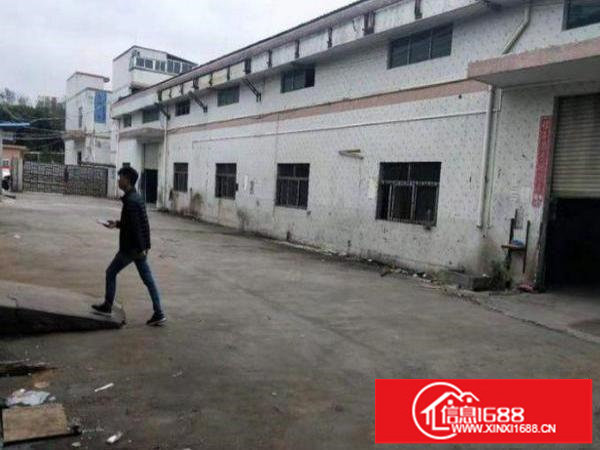 坪地钢构独院3000平方高7米厂房招租500平起可分租